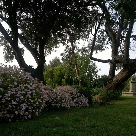 Villa Les Agathea Saint-Tropez